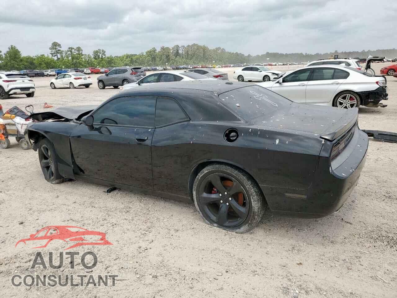 DODGE CHALLENGER 2013 - 2C3CDYBT3DH670283