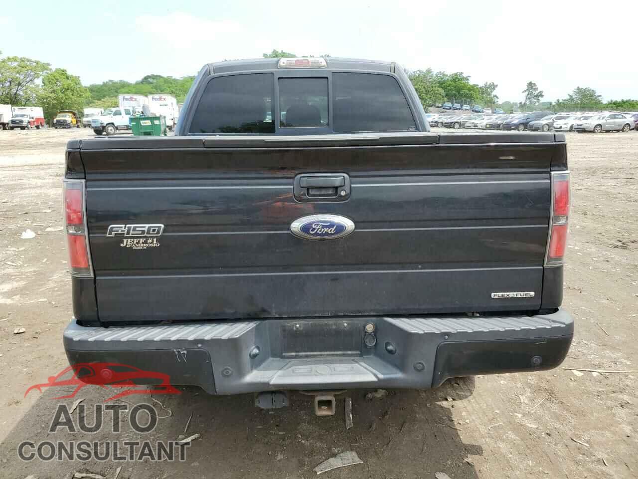 FORD F-150 2011 - 1FTFW1EF2BFA30399