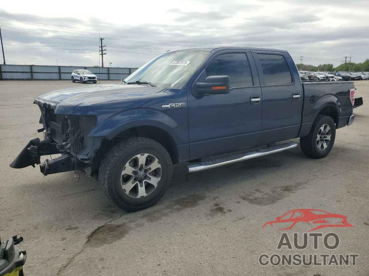 FORD F-150 2013 - 1FTEW1CM8DKD14966