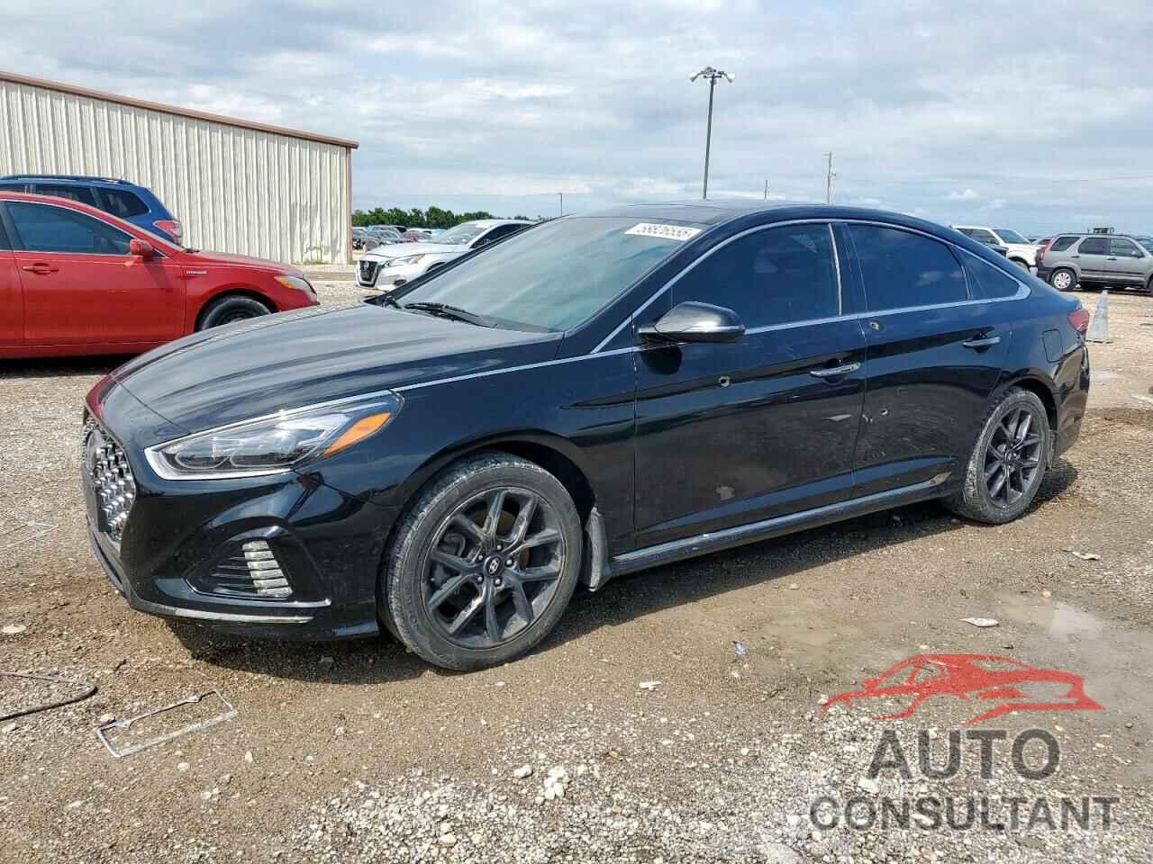 HYUNDAI SONATA 2019 - 5NPE34ABXKH742089