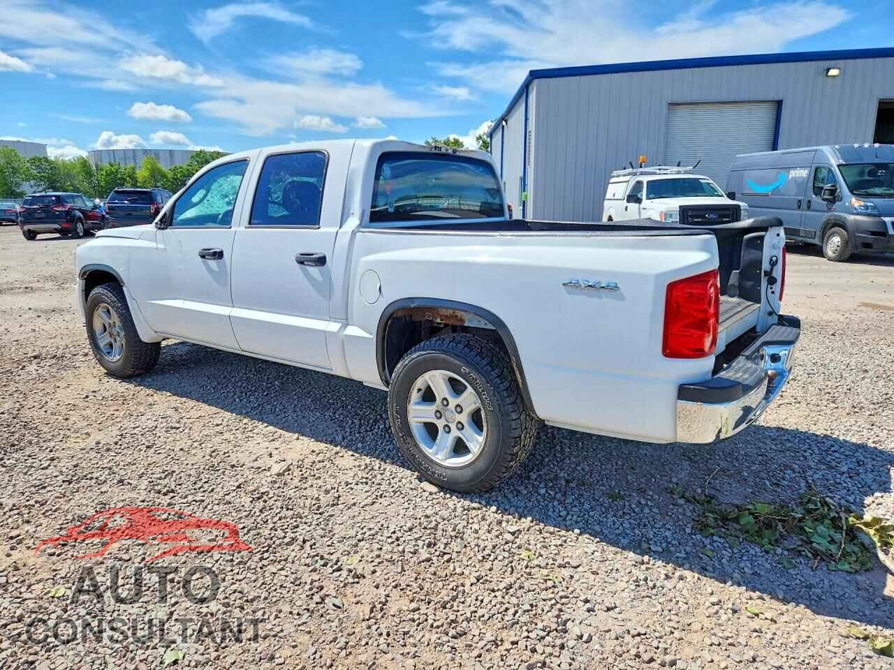 DODGE DAKOTA 2011 - 1D7RW3GK7BS661603