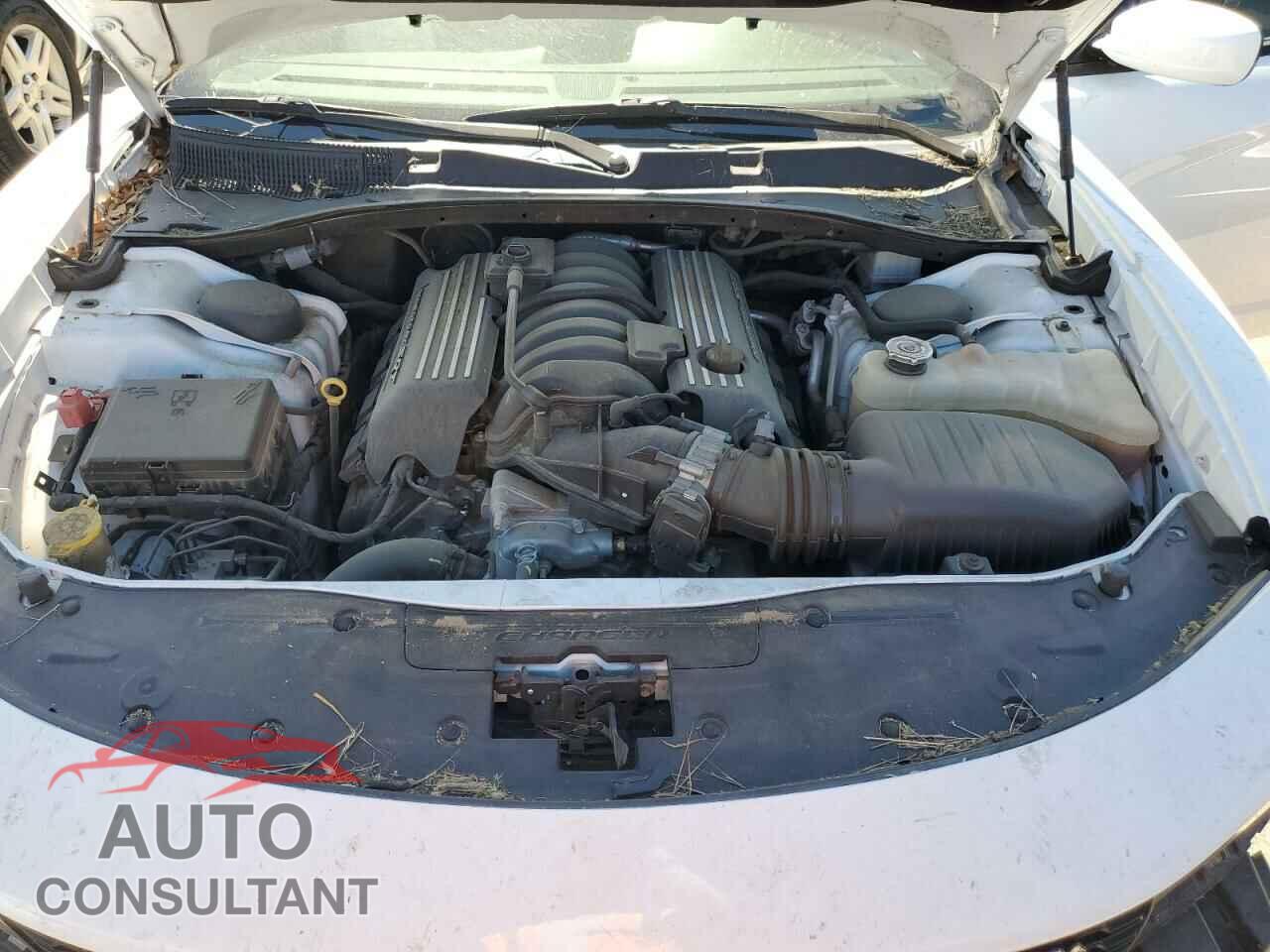 DODGE CHARGER 2021 - 2C3CDXGJ5MH588184