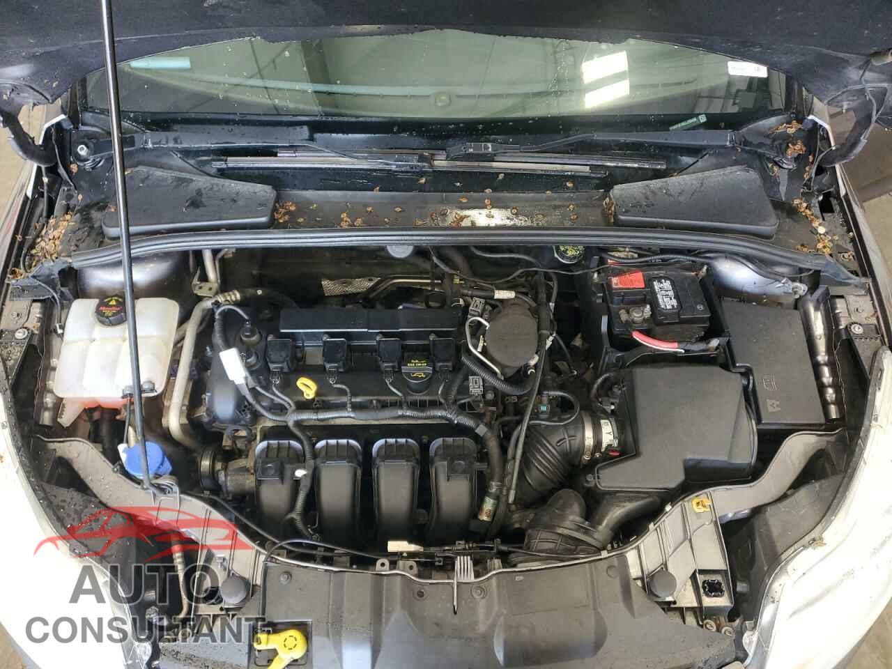 FORD FOCUS 2012 - 1FAHP3F26CL293436