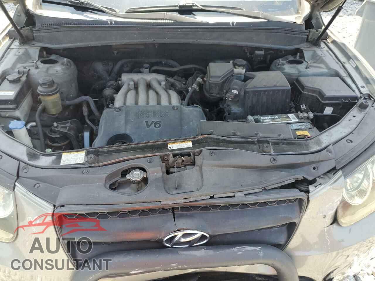 HYUNDAI SANTA FE 2009 - 5NMSG13D49H330777