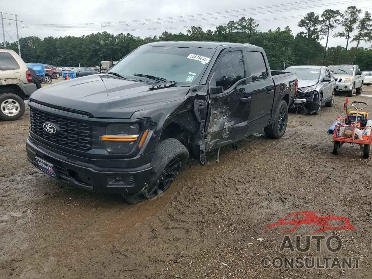 FORD F150 STX 2024 - 1FTEW2K56RKD96154