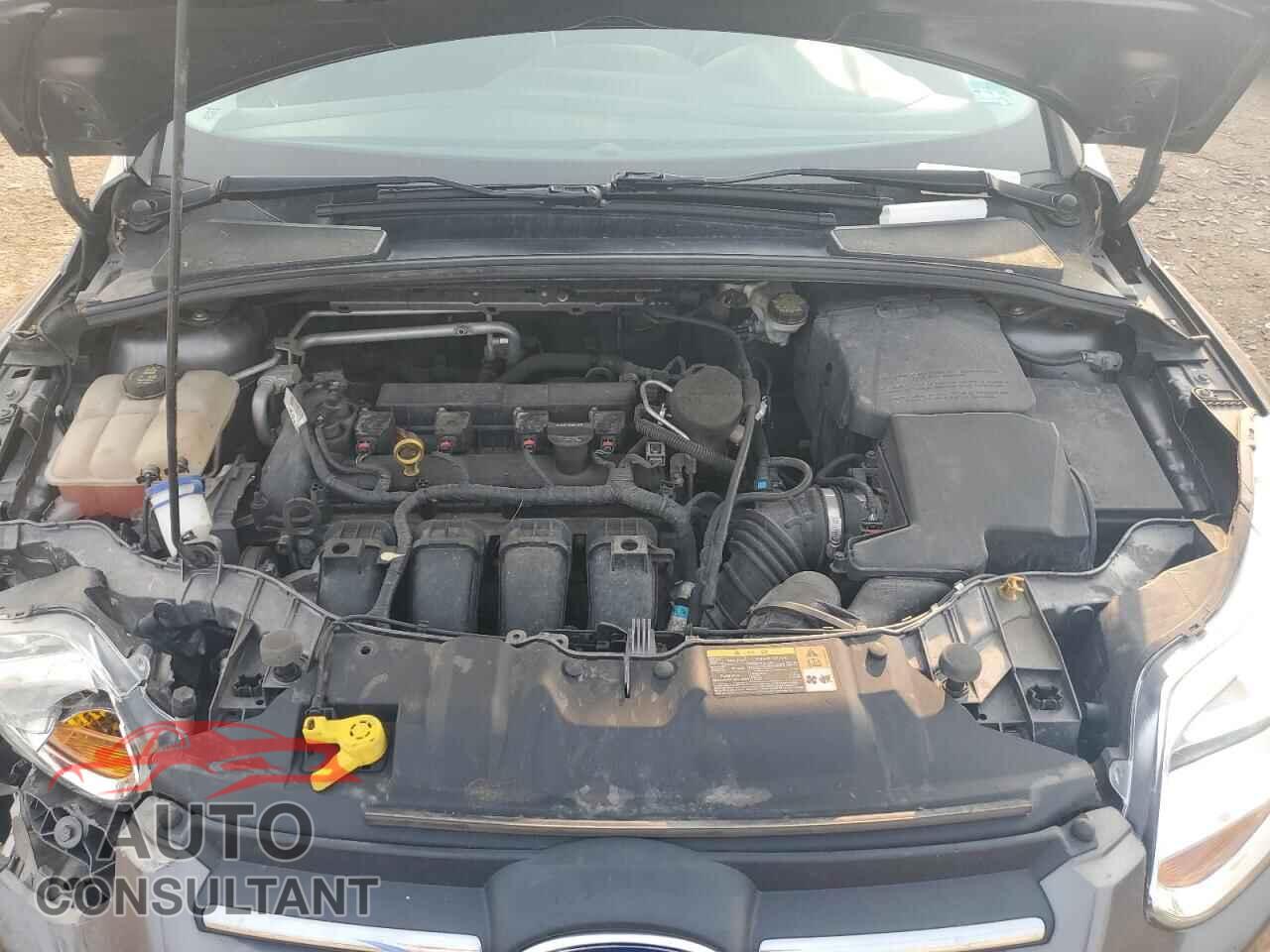 FORD FOCUS 2014 - 1FADP3F25EL116863