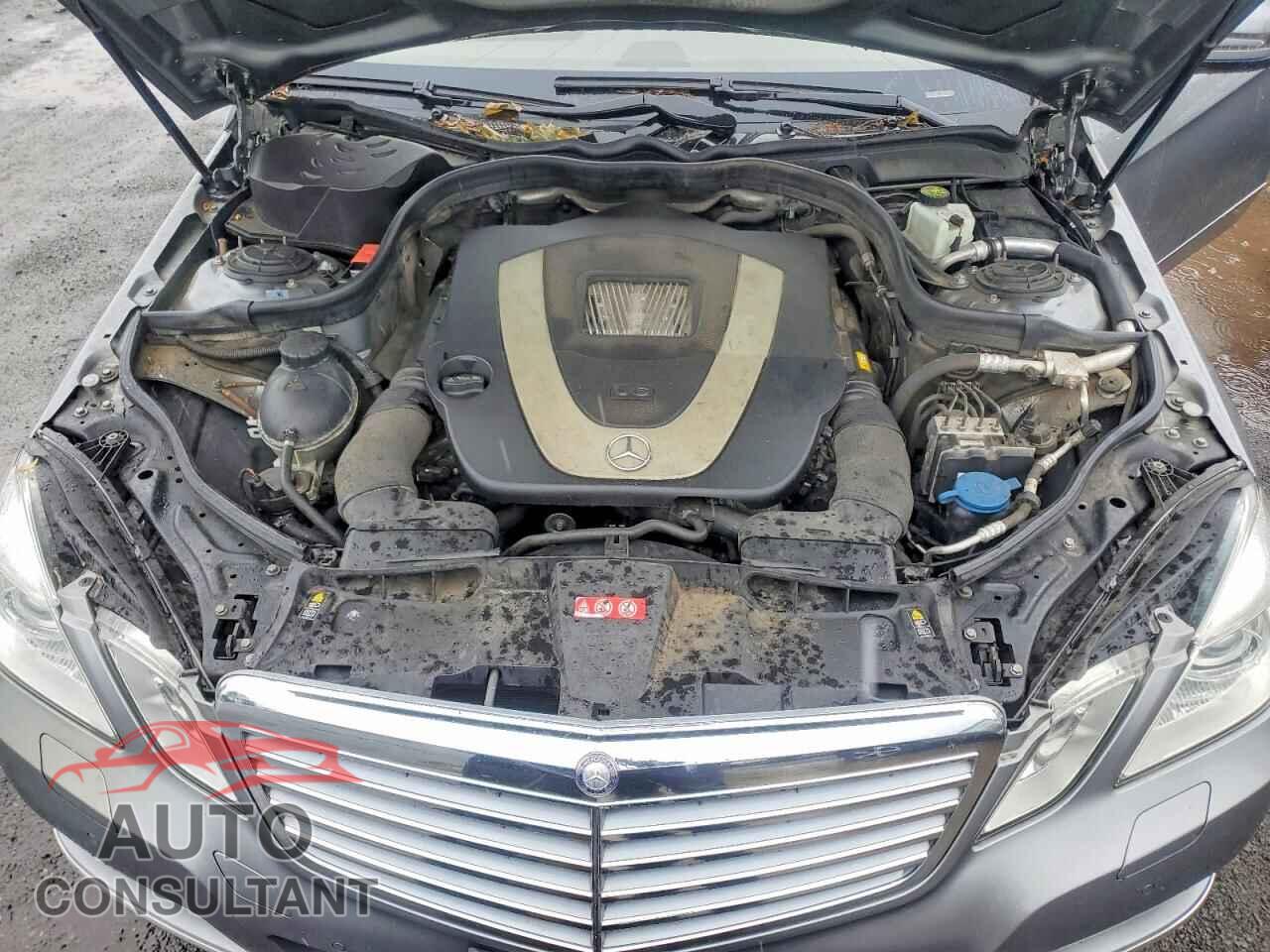 MERCEDES-BENZ E-CLASS 2010 - WDDHF8HB5AA189087