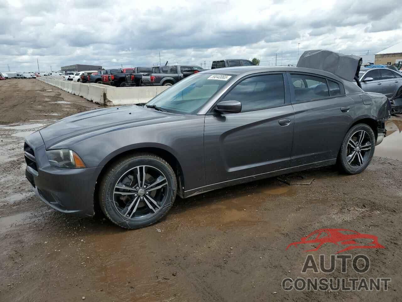 DODGE CHARGER 2014 - 2C3CDXJGXEH341242
