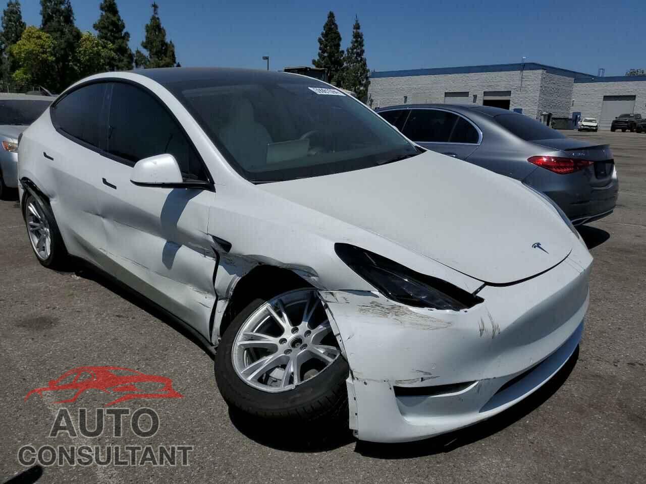 TESLA MODEL Y 2022 - 7SAYGAEE5NF310410