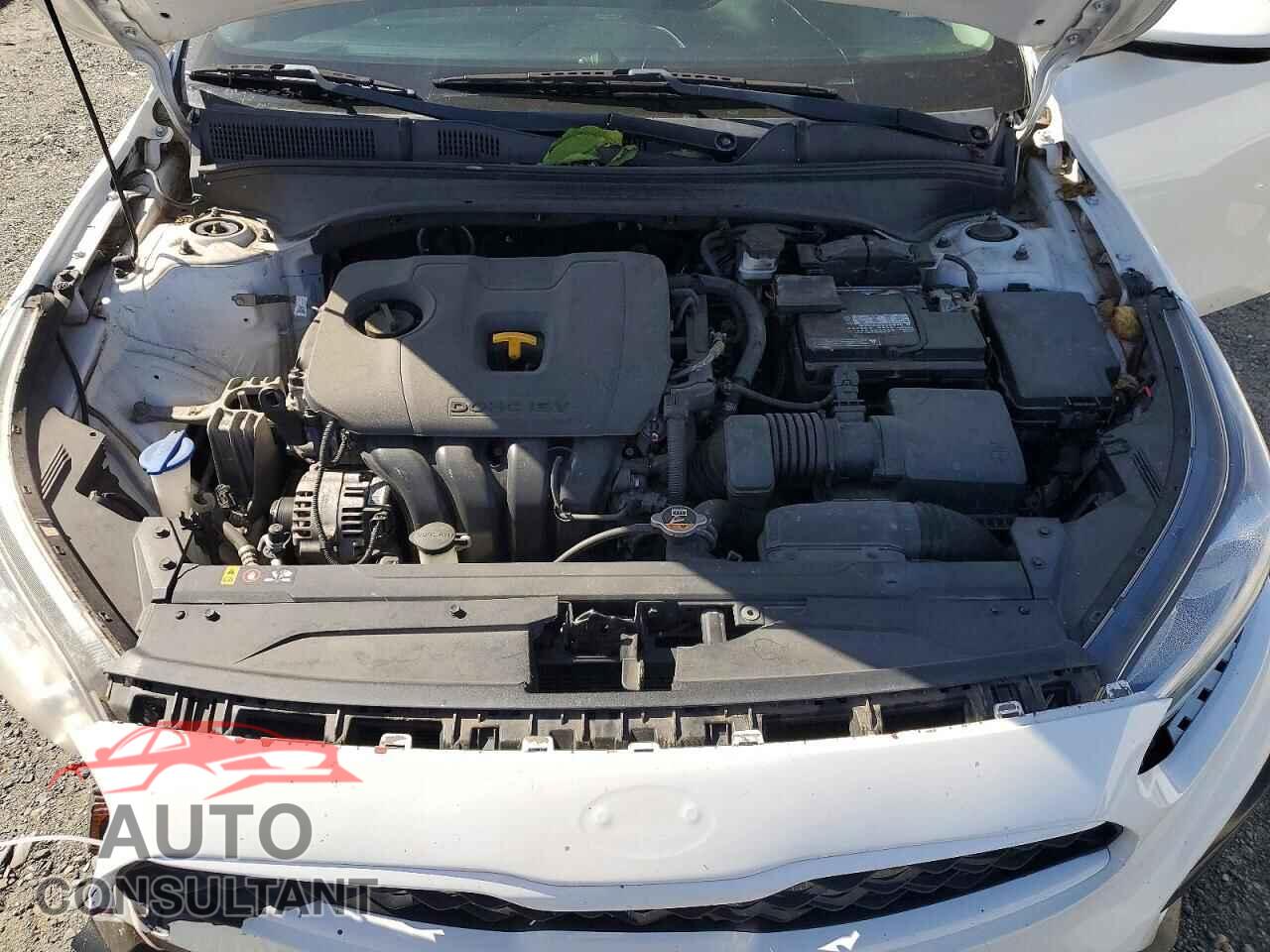 KIA FORTE 2019 - 3KPF24AD5KE094500