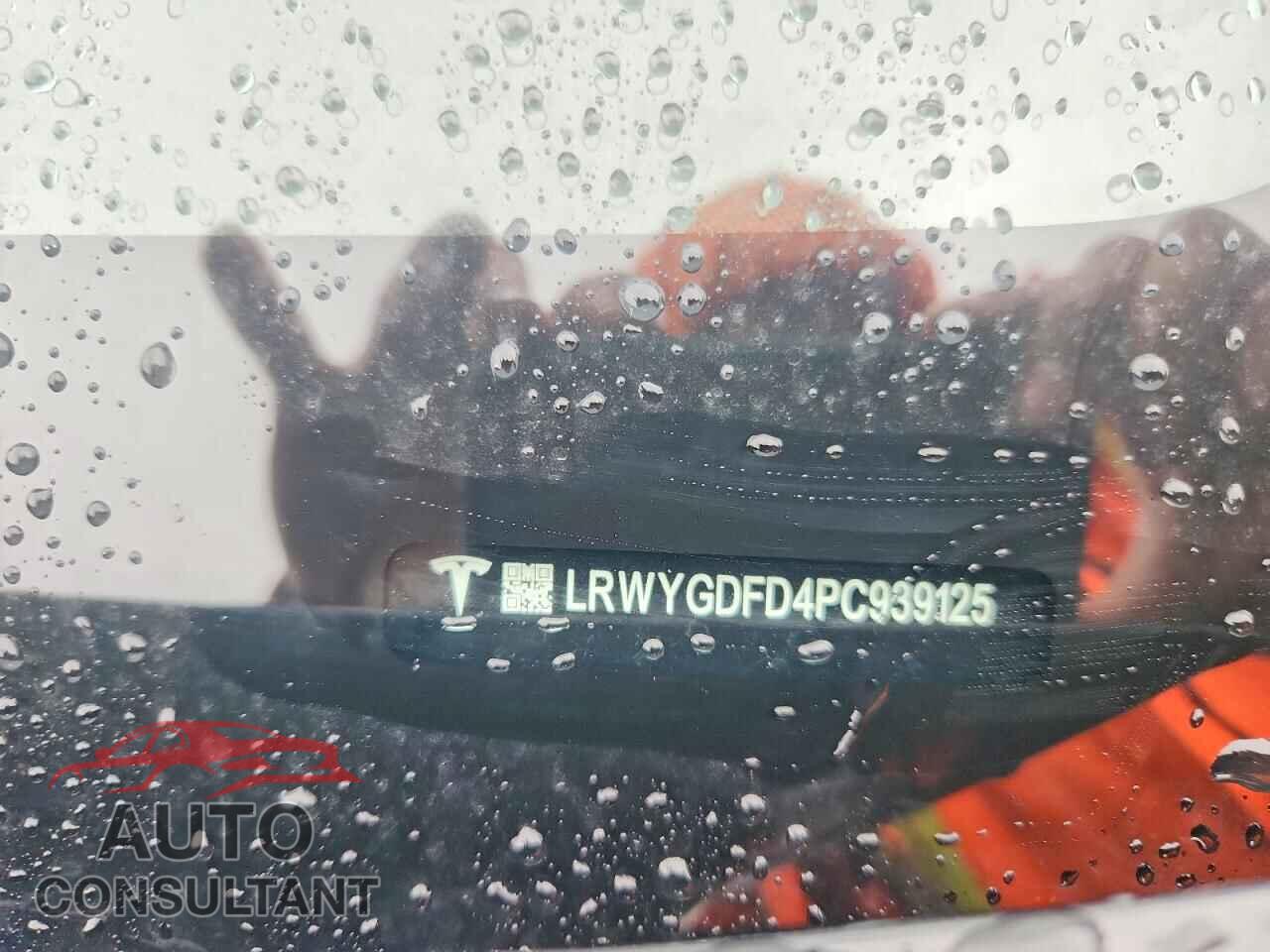 TESLA MODEL Y 2023 - LRWYGDFD4PC939125