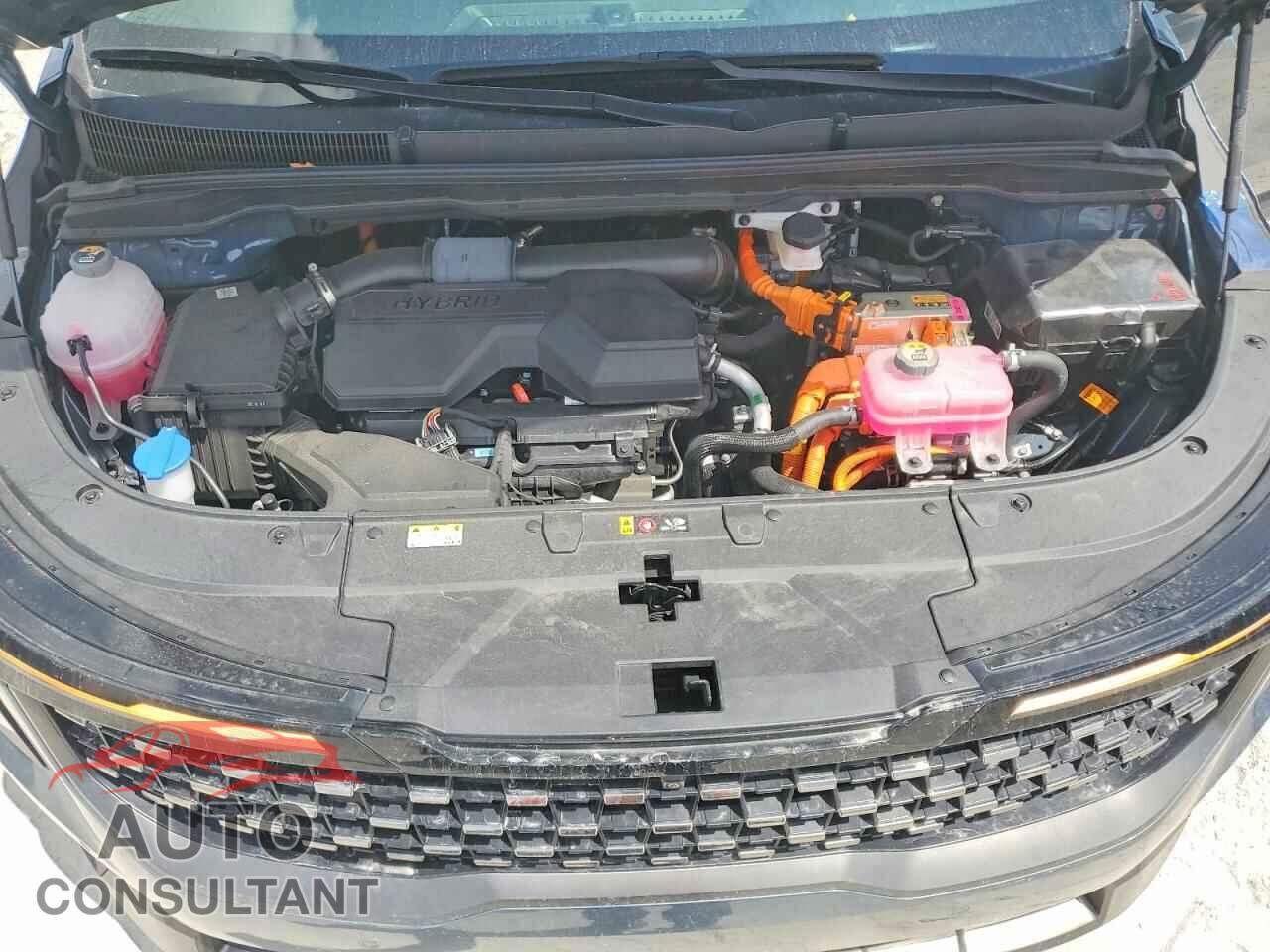 KIA UNKNOWN 2025 - KNDNE5KA7S6065793