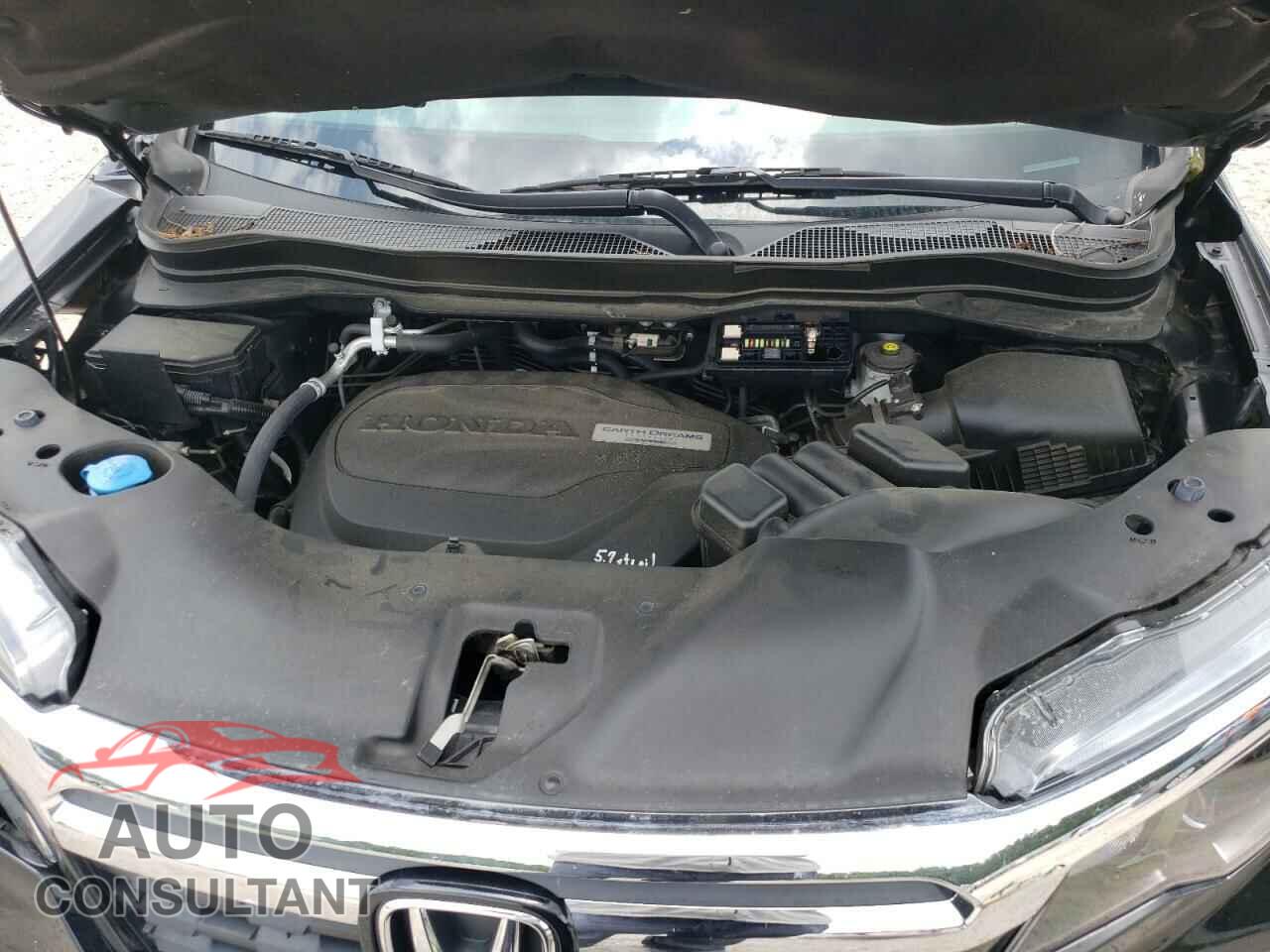 HONDA RIDGELINE 2019 - 5FPYK3F17KB046550