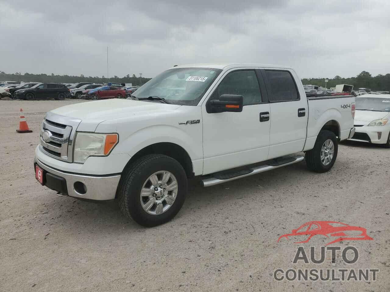 FORD F-150 2009 - 1FTRW14849FA84538