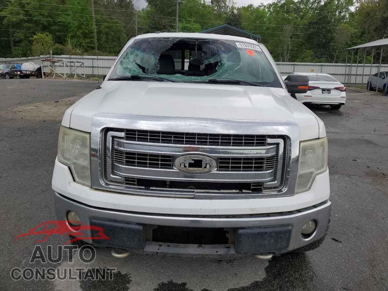 FORD F-150 2013 - 1FTFX1EF4DFA77594