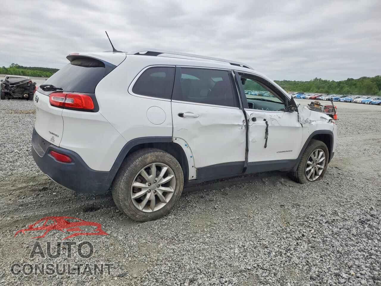 JEEP CHEROKEE 2014 - 1C4PJMDS0EW320096