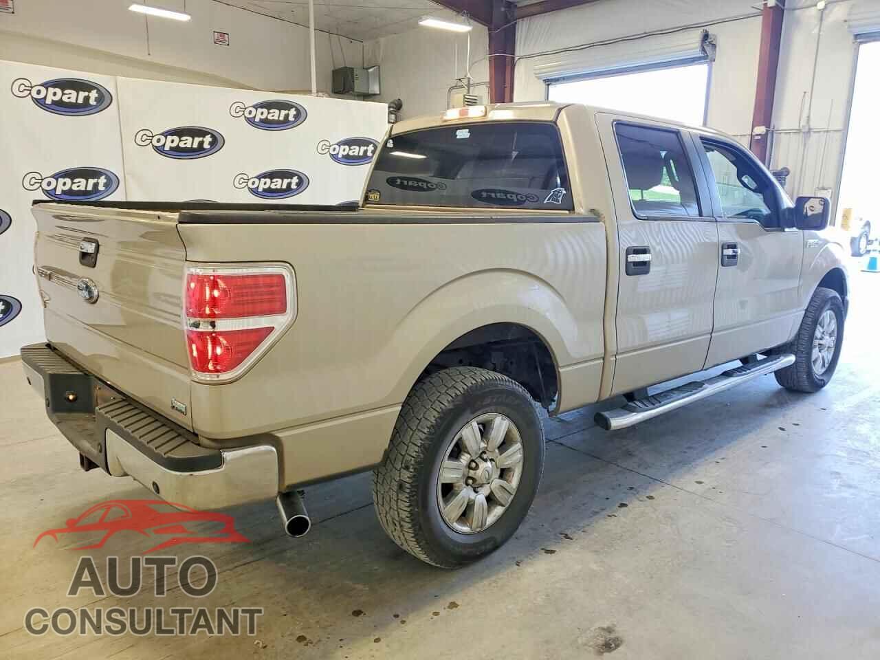 FORD F150 2010 - 1FTFW1EV7AFC43631