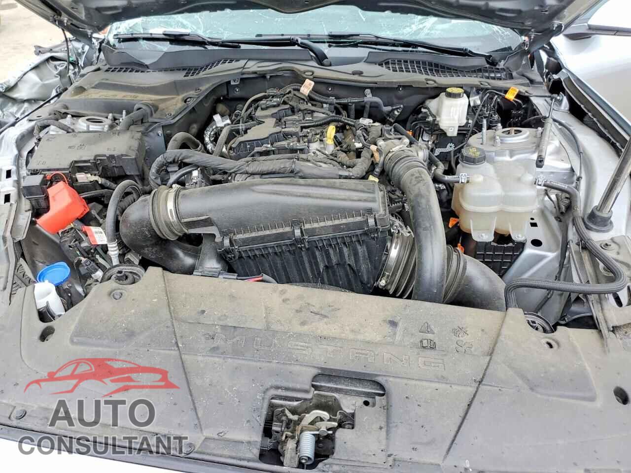 FORD MUSTANG 2025 - 1FA6P8TH0S5118003