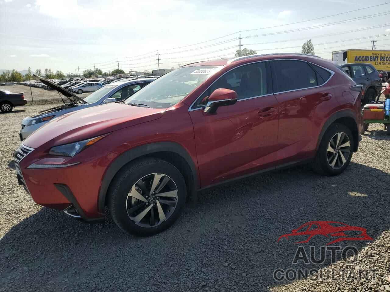 LEXUS NX 2020 - JTJGARDZ6L5011520