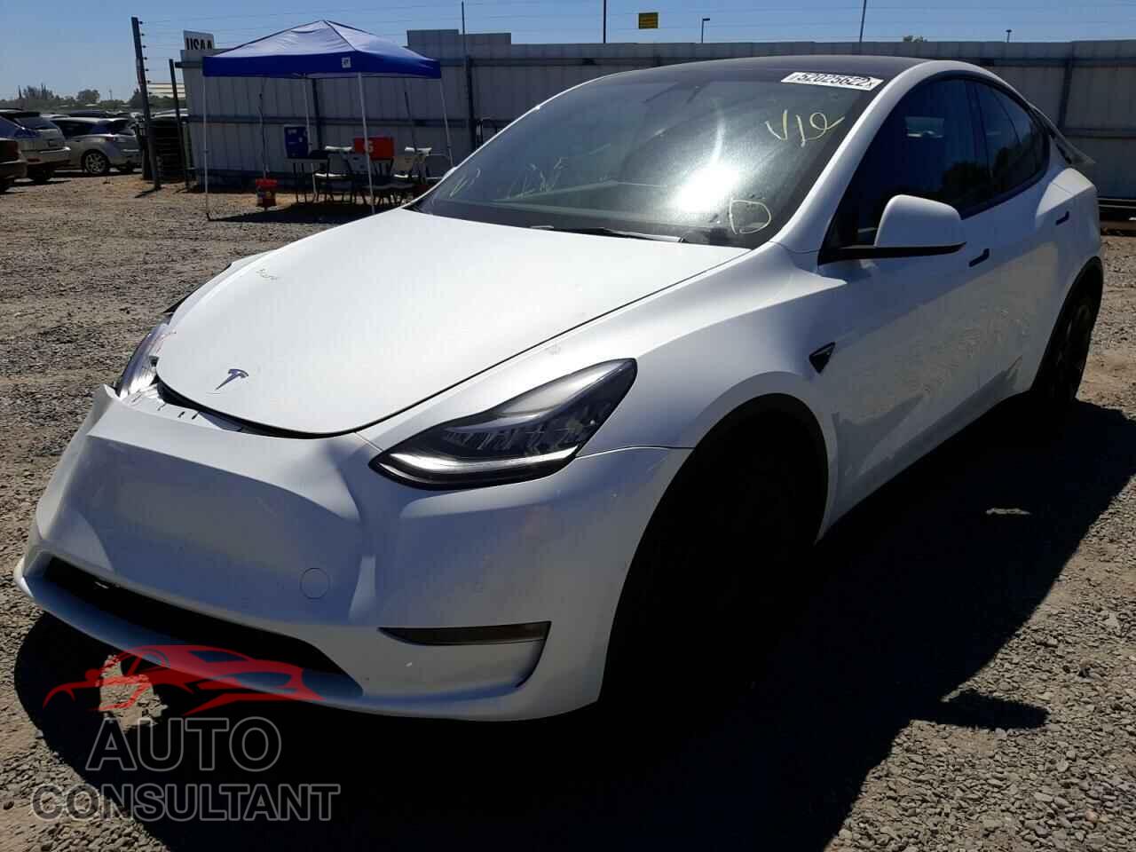 TESLA MODEL Y 2022 - 7SAYGDEE5NF493552