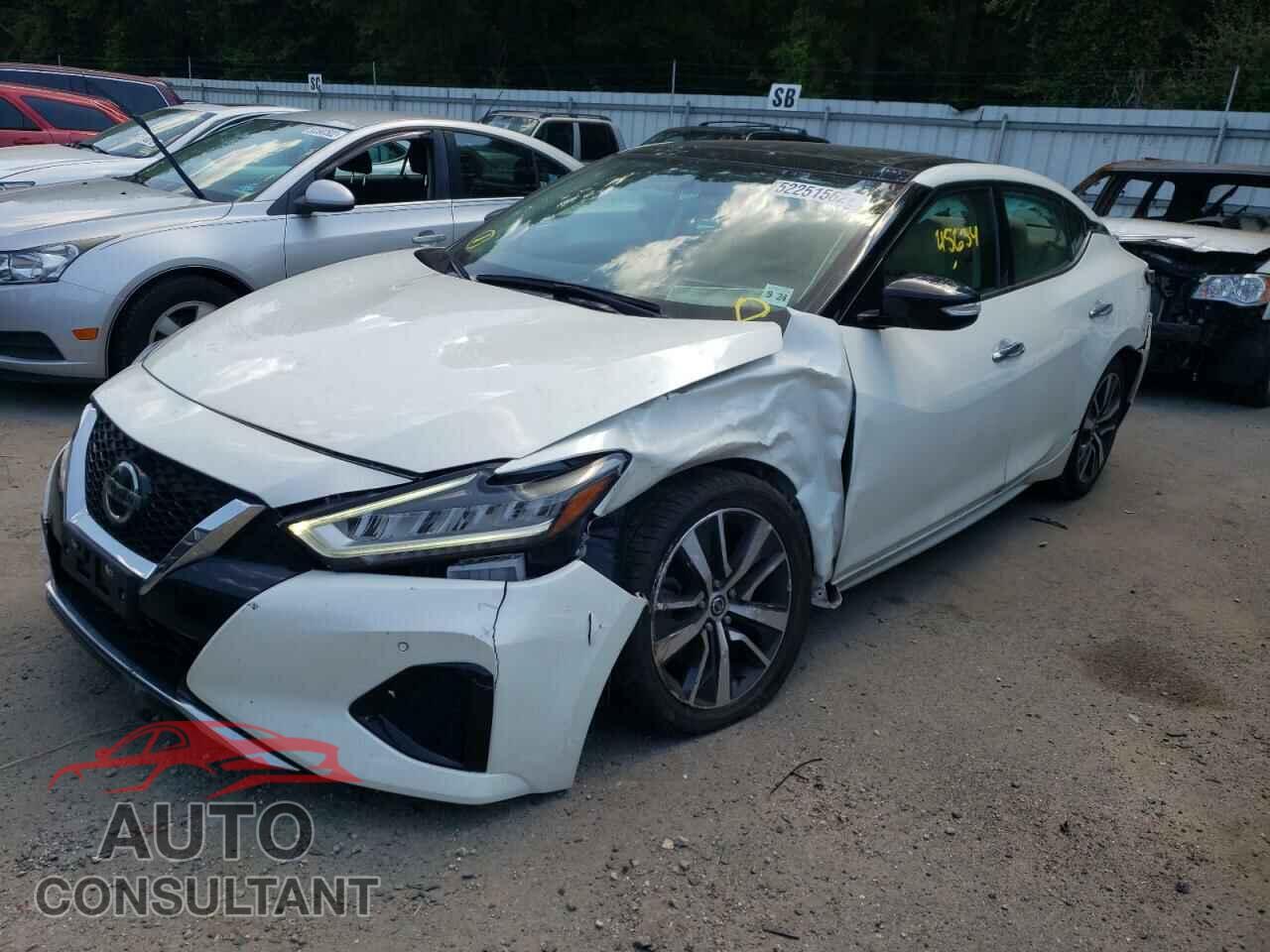 NISSAN MAXIMA 2019 - 1N4AA6AV6KC379687