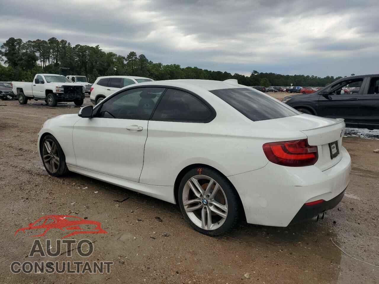 BMW 2 SERIES 2016 - WBA1F9C54GV545014