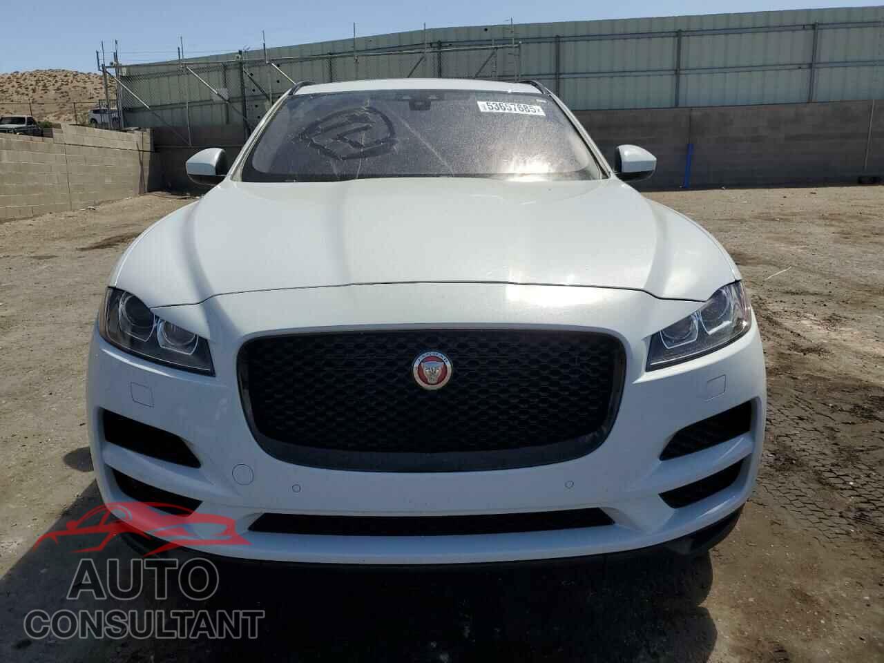 JAGUAR F-PACE 2020 - SADCJ2FX2LA639994