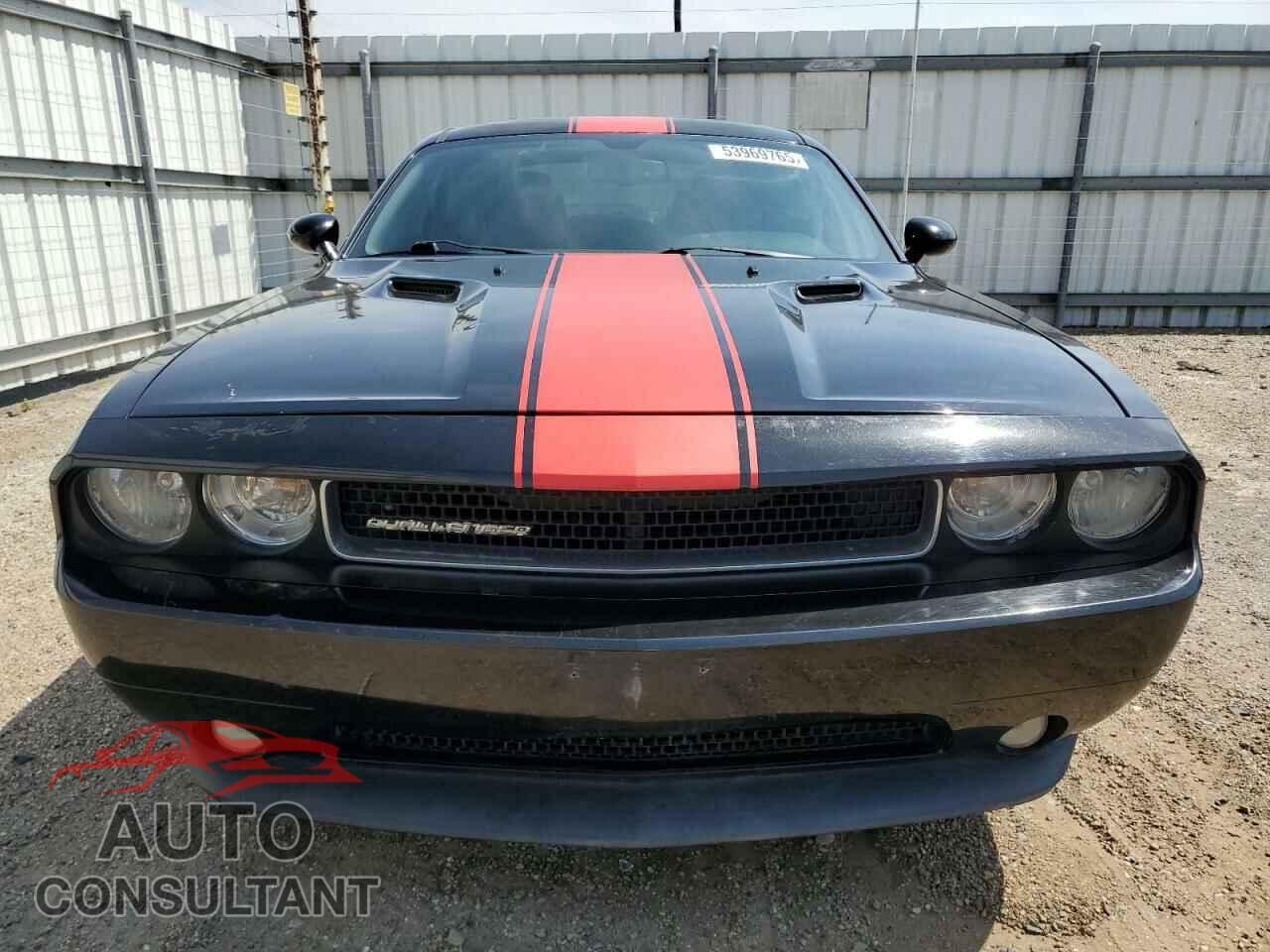 DODGE CHALLENGER 2013 - 2C3CDYAG0DH540711