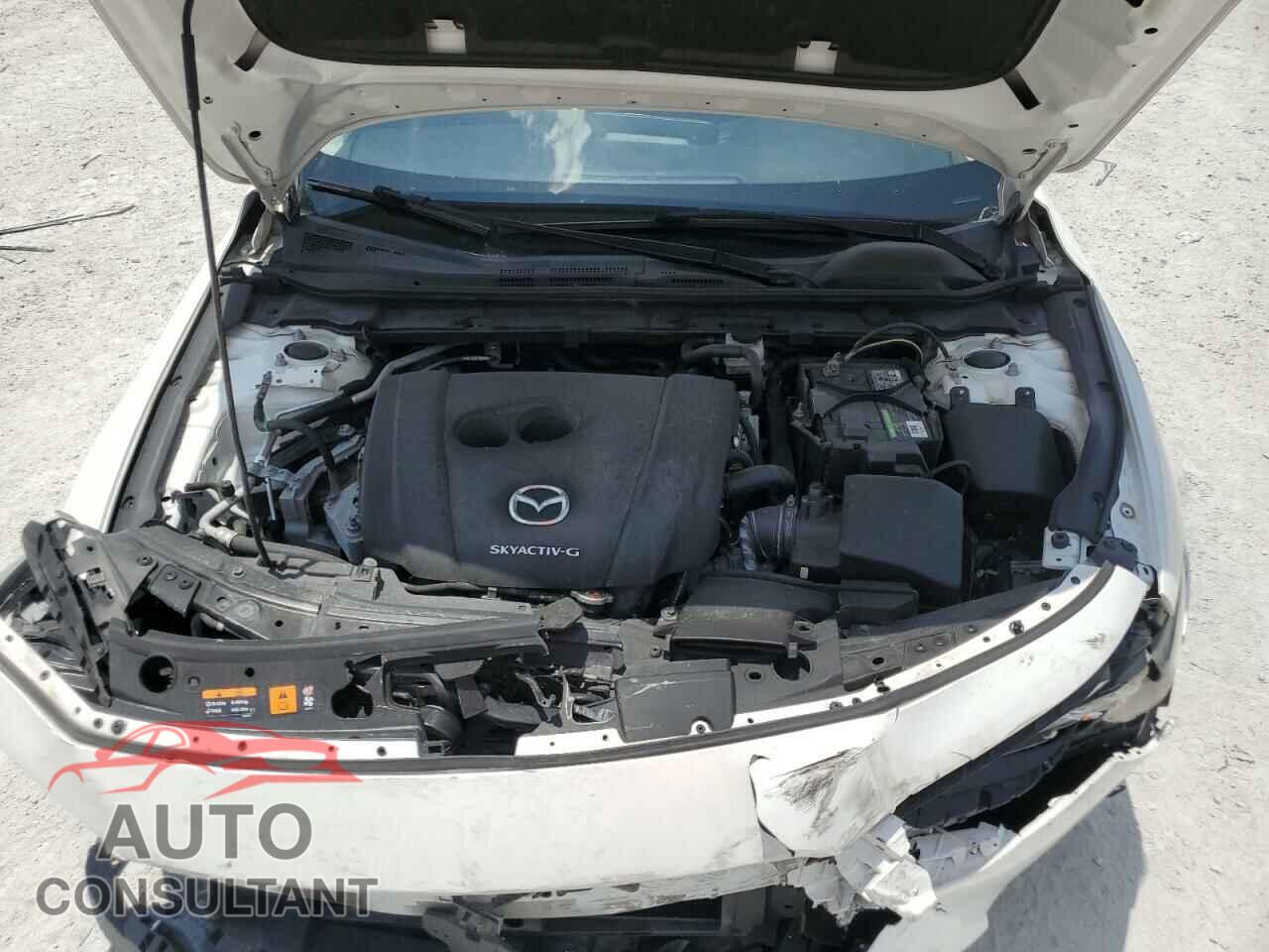 MAZDA 3 2019 - JM1BPACL5K1111981