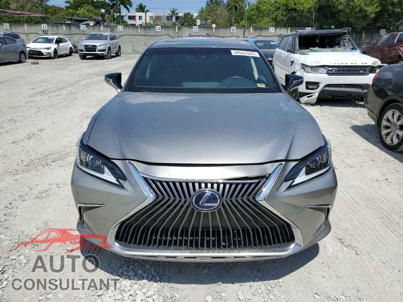 LEXUS ES300 2021 - 58ADA1C19MU010733