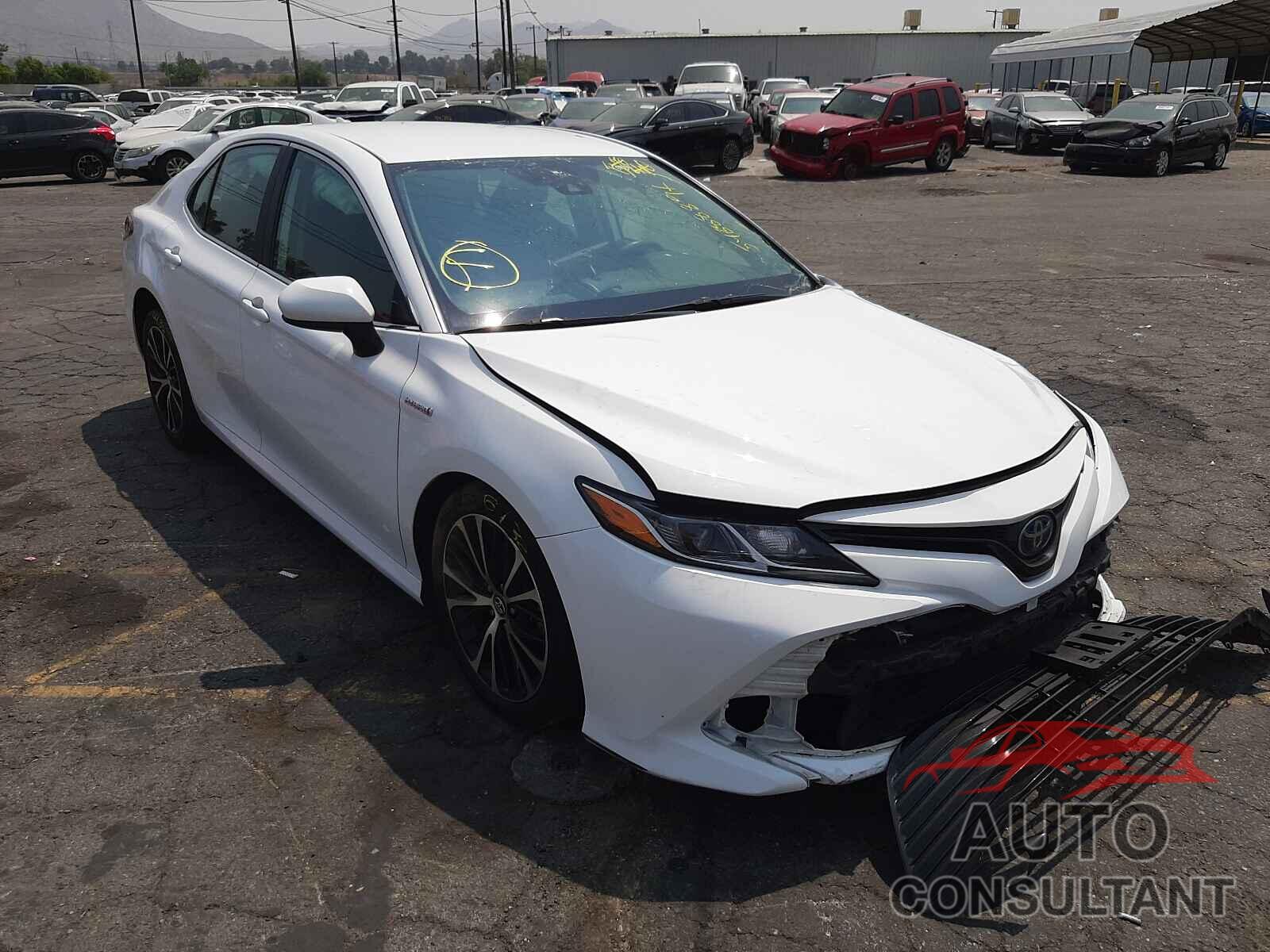 TOYOTA CAMRY 2019 - 4T1B31HK9KU008259