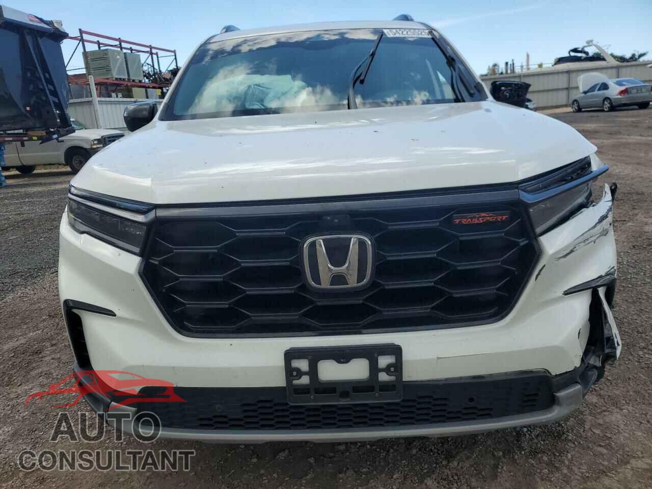 HONDA PILOT 2024 - 5FNYG1H60RB005128