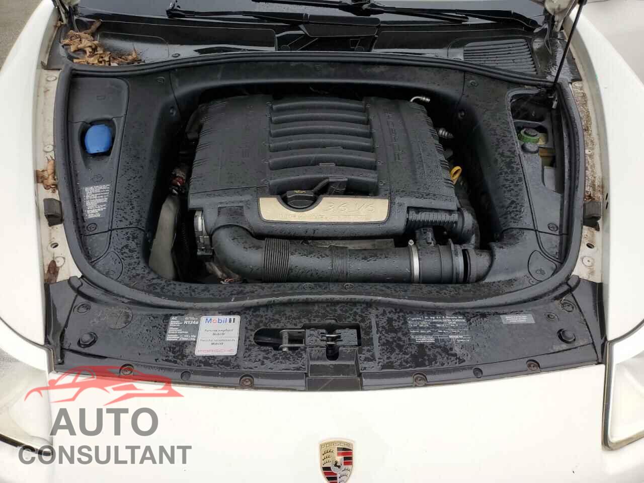 PORSCHE CAYENNE 2009 - WP1AA29P09LA02631