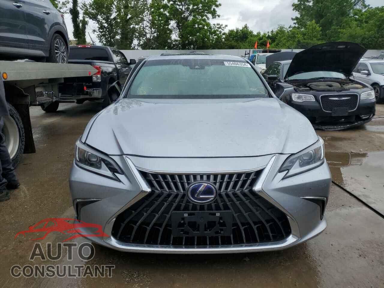 LEXUS ES300 2022 - 58ADA1C17NU026169