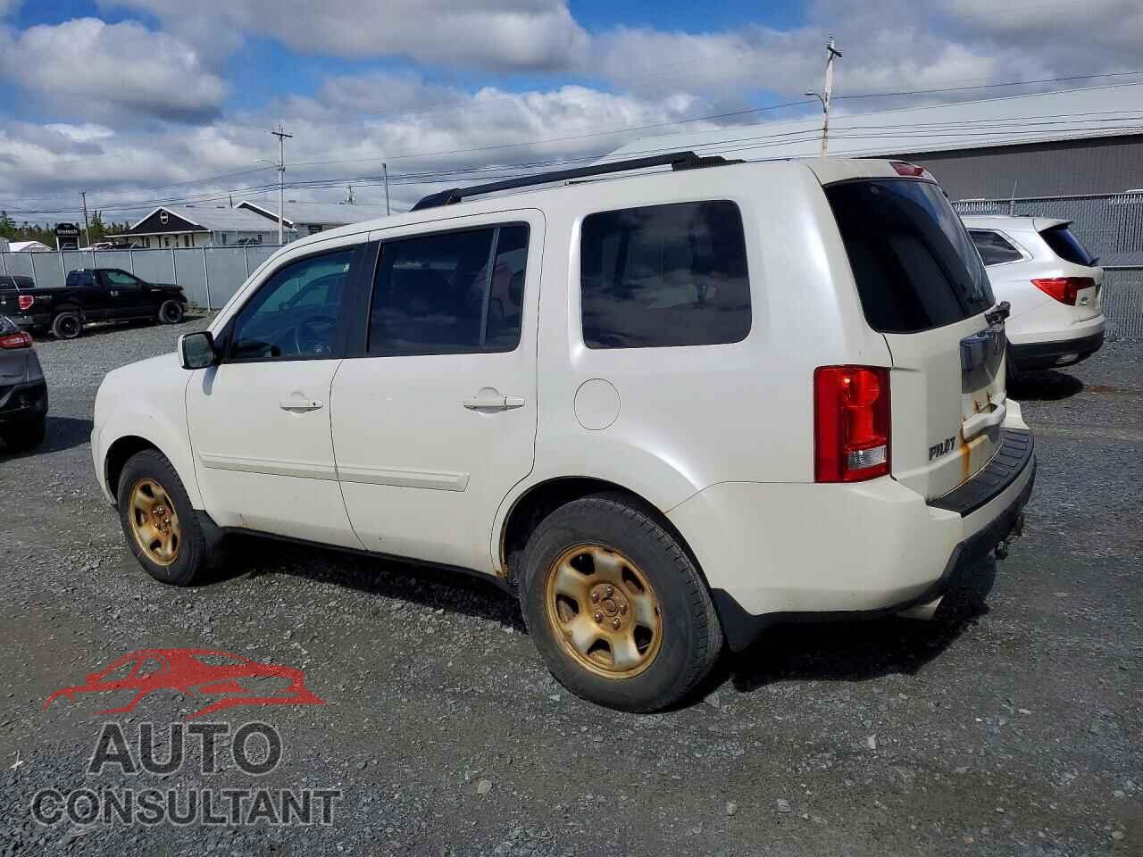 HONDA PILOT 2011 - 5FNYF4H45BB501065