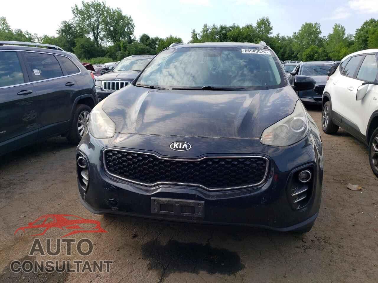 KIA SPORTAGE 2017 - KNDPMCAC0H7085938