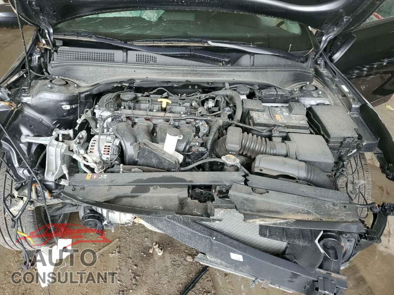 KIA FORTE 2023 - 3KPF24AD7PE607222