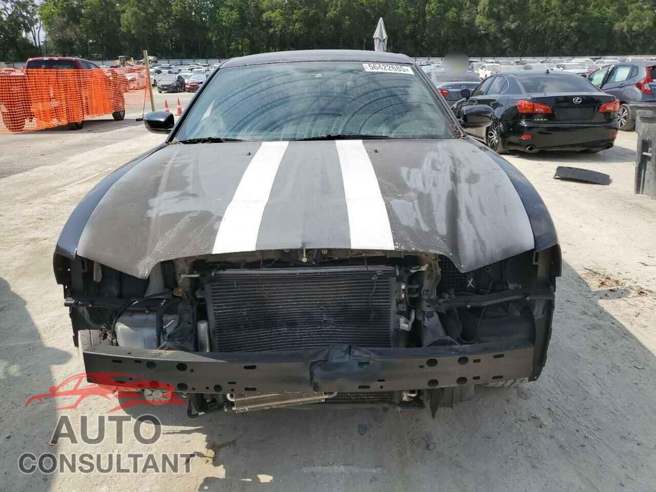DODGE CHARGER 2014 - 2C3CDXAGXEH124807