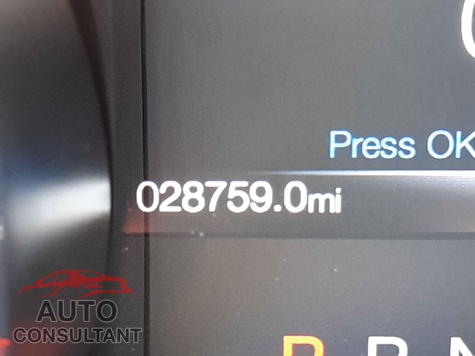 FORD MUSTANG 2019 - 1FA6P8CF6K5194887