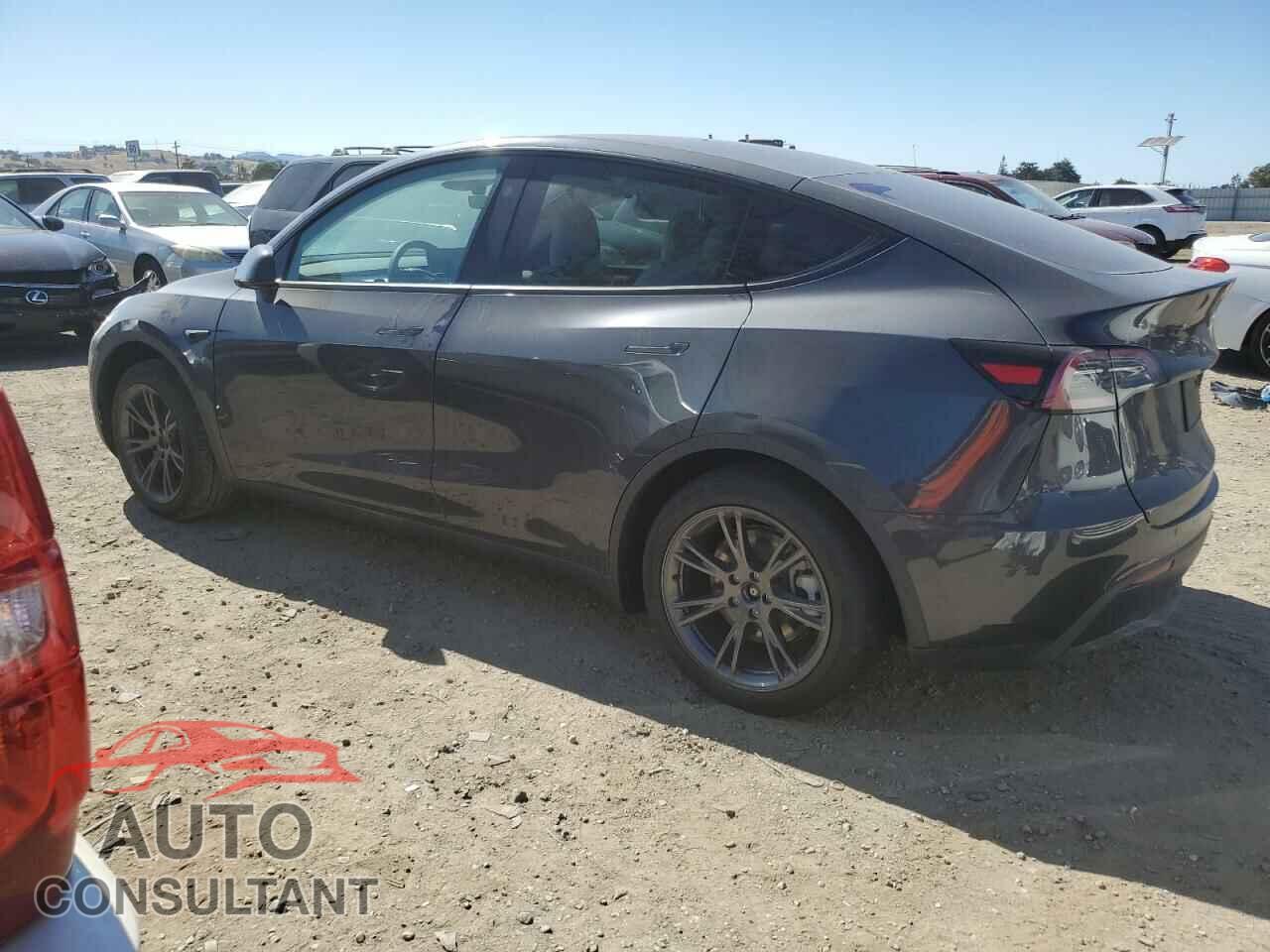 TESLA MODEL Y 2025 - 7SAYGDED2SF319036