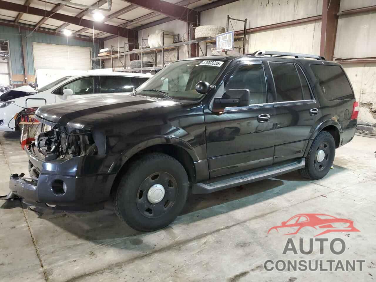 FORD EXPEDITION 2009 - 1FMFU16599EB03212