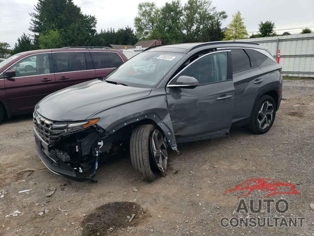 HYUNDAI TUCSON 2024 - 5NMJECDE7RH388323