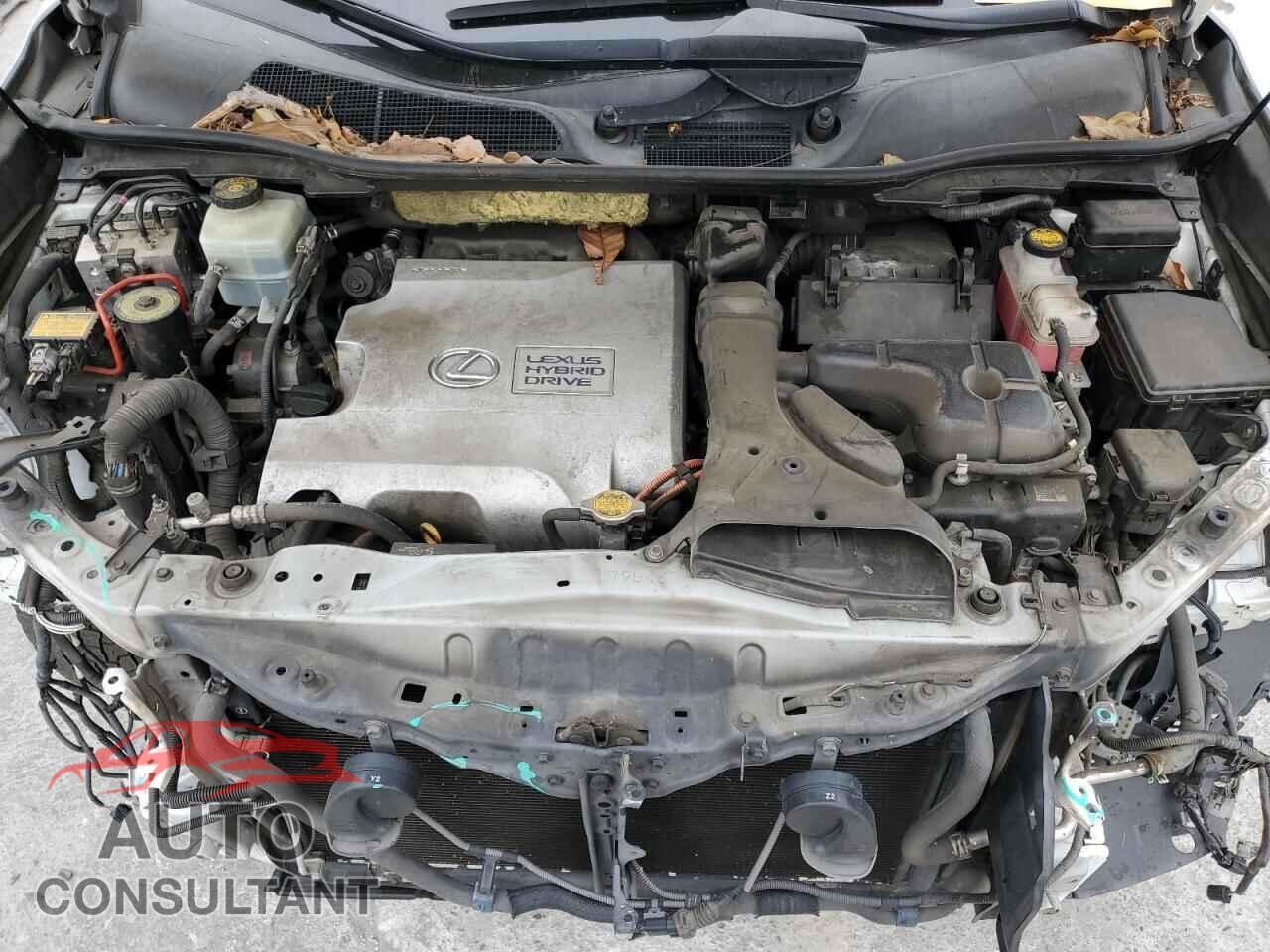 LEXUS RX450 2010 - JTJBC1BA0A2019193