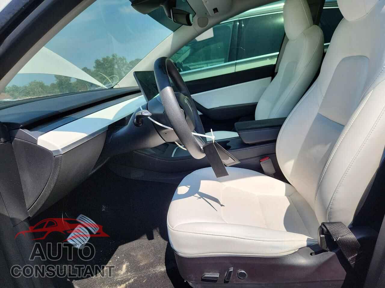 TESLA MODEL Y 2021 - 5YJYGDEF3MF201787