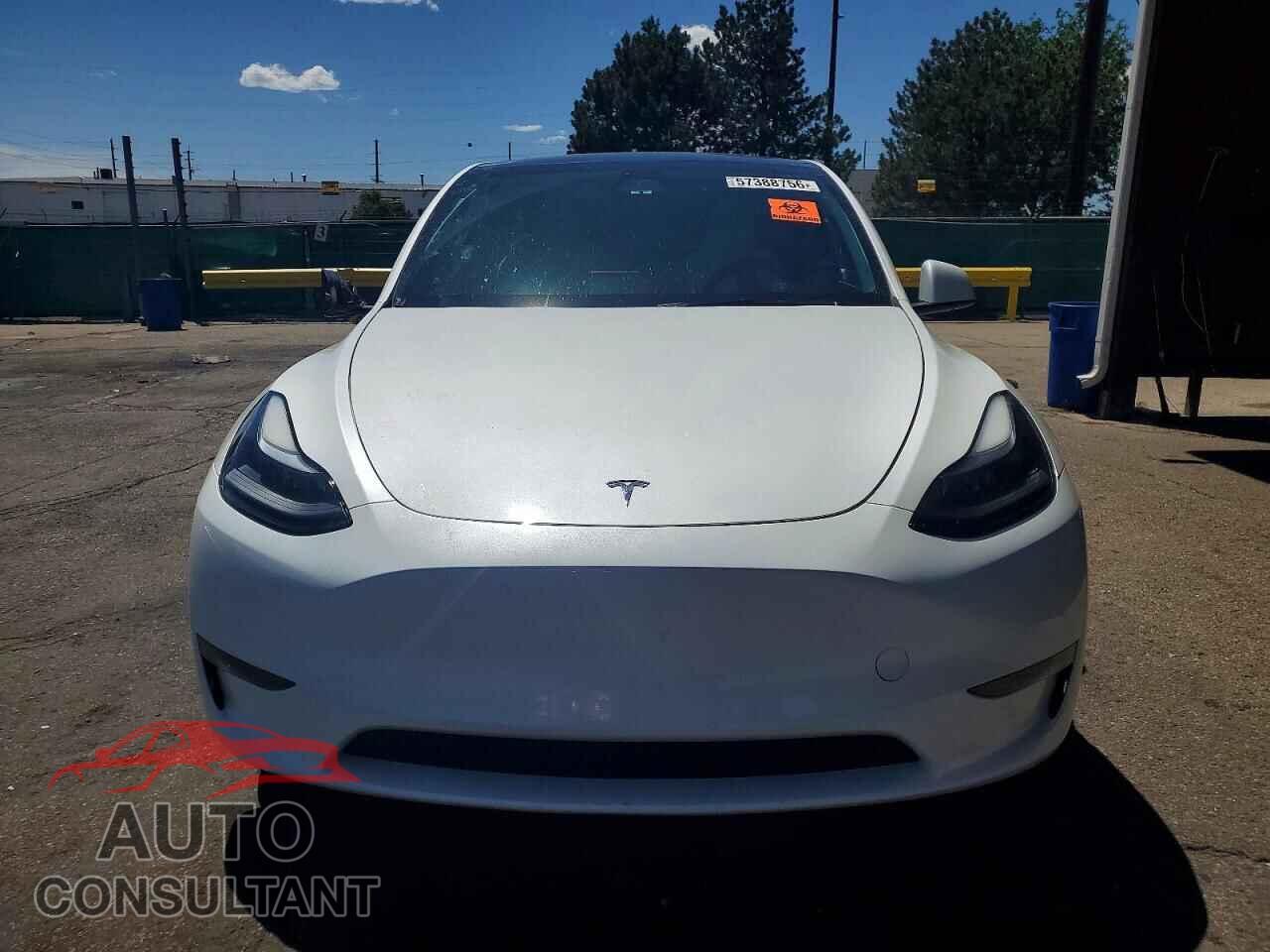 TESLA MODEL Y 2024 - 7SAYGDEF9RF083528