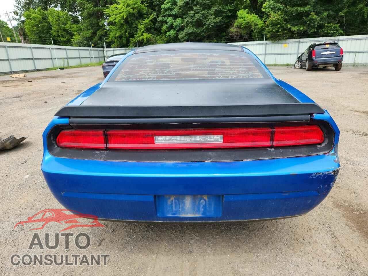 DODGE CHALLENGER 2010 - 2B3CJ4DV5AH324003