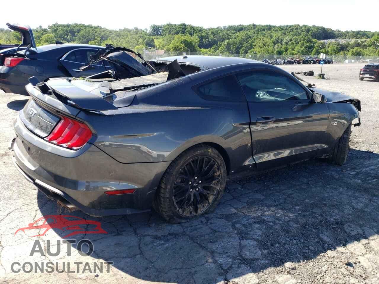 FORD MUSTANG 2019 - 1FA6P8CF1K5197258