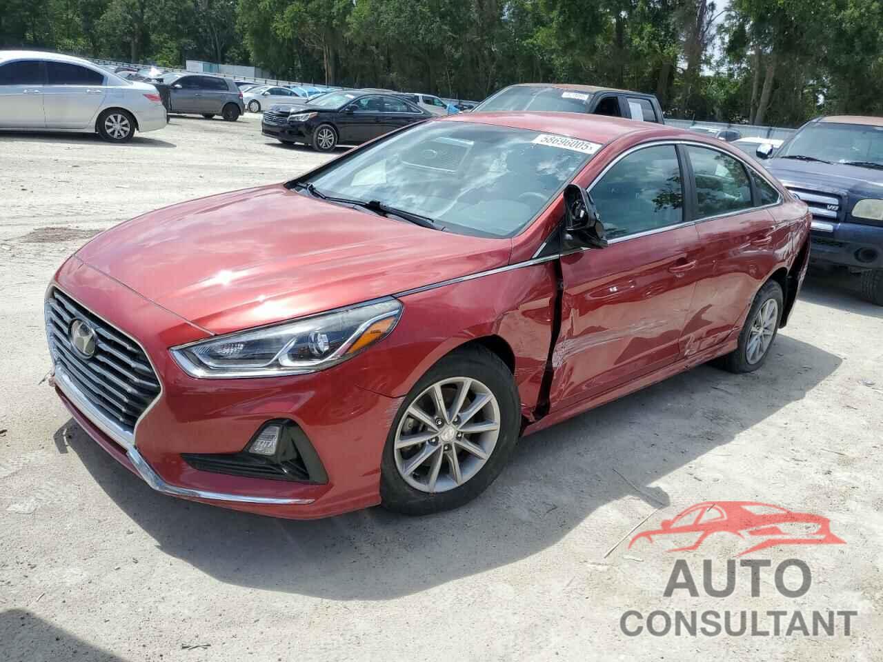 HYUNDAI SONATA 2019 - 5NPE24AF6KH748817