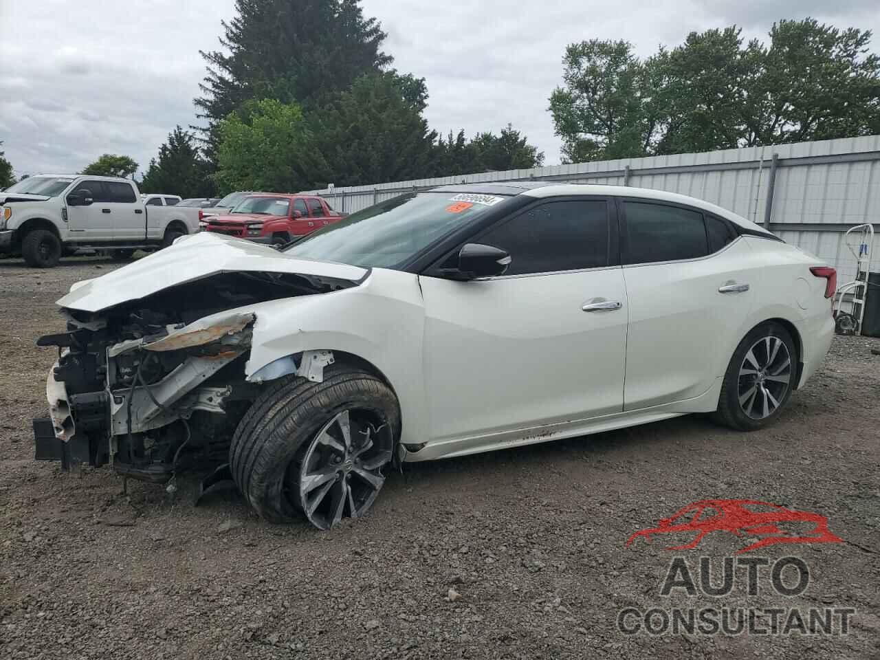 NISSAN MAXIMA 2017 - 1N4AA6AP6HC435203