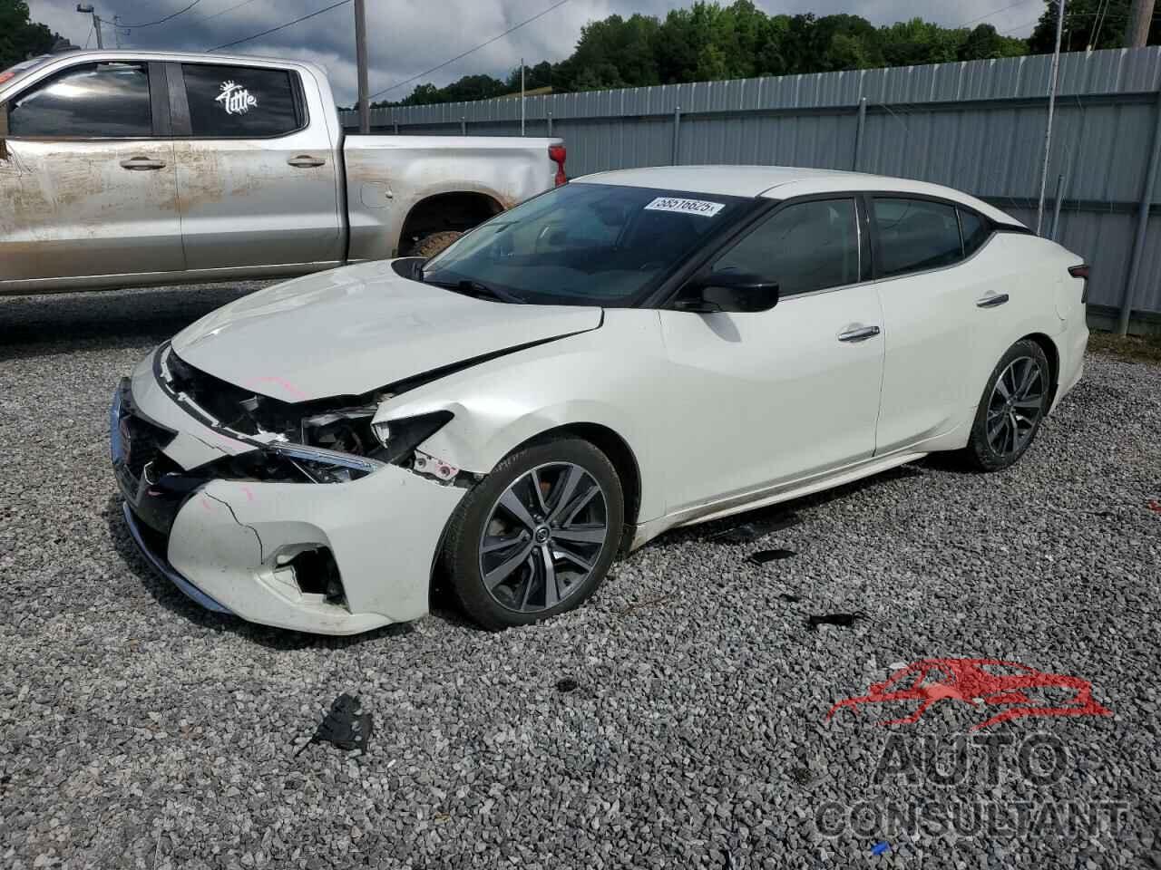 NISSAN MAXIMA 2019 - 1N4AA6AV8KC379951